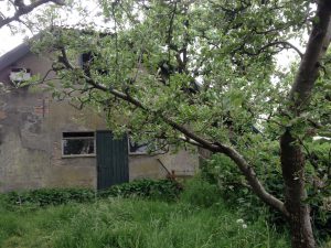 IMG-20160530-WA0006